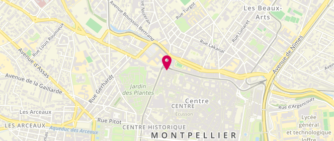Plan de Iness, 46 Rue du Cardinal de Cabrieres, 34000 Montpellier