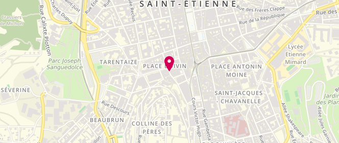 Plan de Ma Delice, 6 avenue Président Emile Loubet, 42000 Saint-Étienne