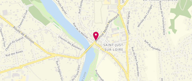 Plan de La Muscadine, 7 Rue Mellet Mandard, 42170 Saint-Just-Saint-Rambert