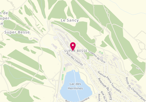Plan de Le buron des pains, 41 avenue du Sancy, 63610 Besse-et-Saint-Anastaise