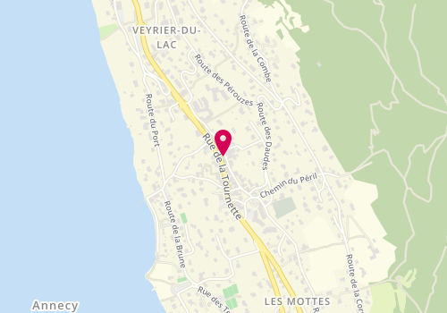 Plan de Maison Andy, 24 Route de la Tournette, 74290 Veyrier-du-Lac