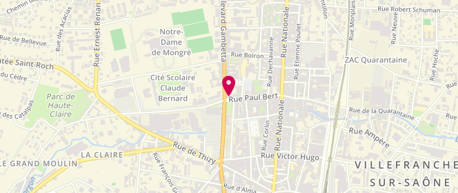 Plan de L'Artisan Debise, 246 Rue Paul Bert, 69400 Villefranche-sur-Saône