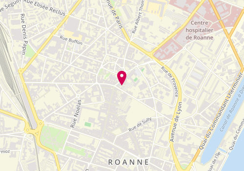 Plan de Rémi Mathieu, 1 Place Georges Clemenceau, 42300 Roanne