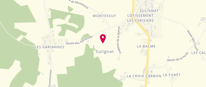 Plan de Le Levain-Chef, 115 Route des Gariannes, 01400 Sulignat