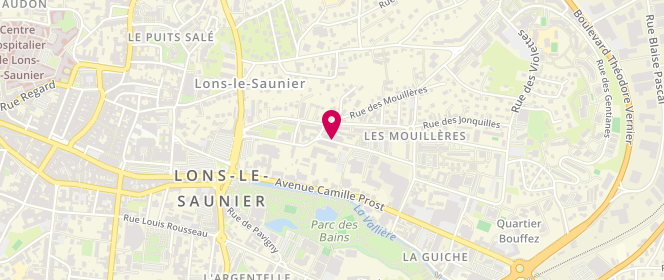 Plan de La Menthe Sauvage, 3 Rue des Lilas, 39000 Lons-le-Saunier