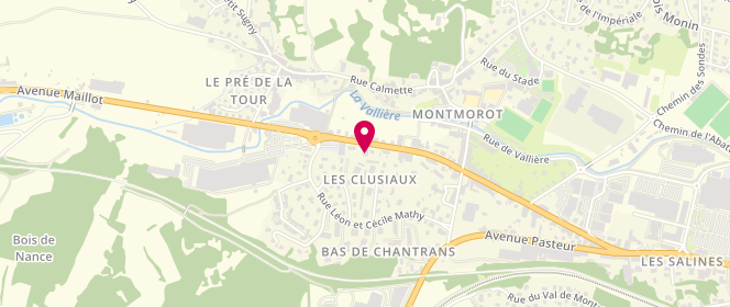 Plan de Le Palais des Délices la Fabrik, 19 Bis avenue Maillot, 39570 Montmorot
