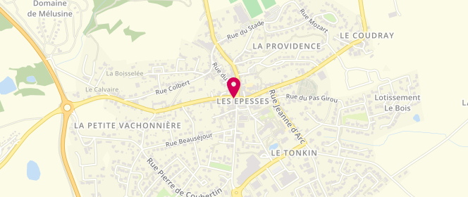 Plan de Le Puy des Délices, 1 Rue du Puy du Fou, 85590 Les Epesses