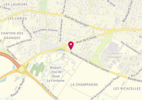 Plan de La Fabrique, 1316 Boulevard Dr Lionet, 49700 Doué-en-Anjou