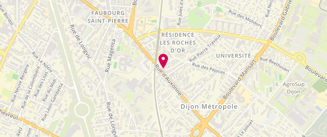 Plan de Patricia et Jean-Luc REY, 127 Rue D&#039;Auxonne, 21000 Dijon