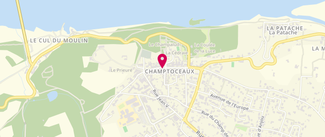 Plan de O ' Délices de Champtoceaux, 7 Place Chanoine Bricard, 49270 Orée-d'Anjou