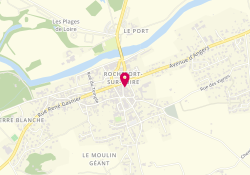 Plan de FERTRE Philippe, 33 Grande Rue, 49190 Rochefort-sur-Loire