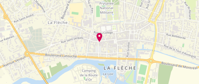 Plan de MOINE et BREGEON, 31 Rue Carnot, 72200 La Flèche