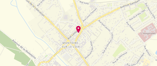 Plan de GUEPIN Hervé, 39 Rue Saint Denis, 41800 Montoire-sur-le-Loir
