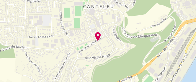 Plan de Le Moulin de Canteleu, 42 avenue de Versailles, 76380 Canteleu