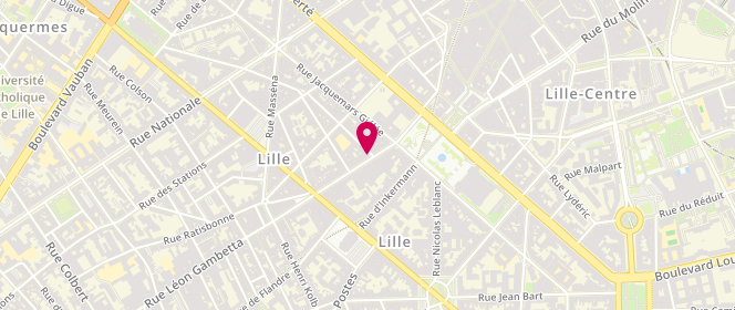 Plan de Aux Pains Dorés, 30 Rue Léon Gambetta, 59800 Lille